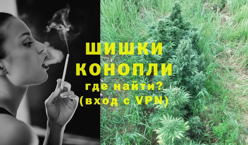 Бошки марихуана Ganja  наркотики  Венёв 